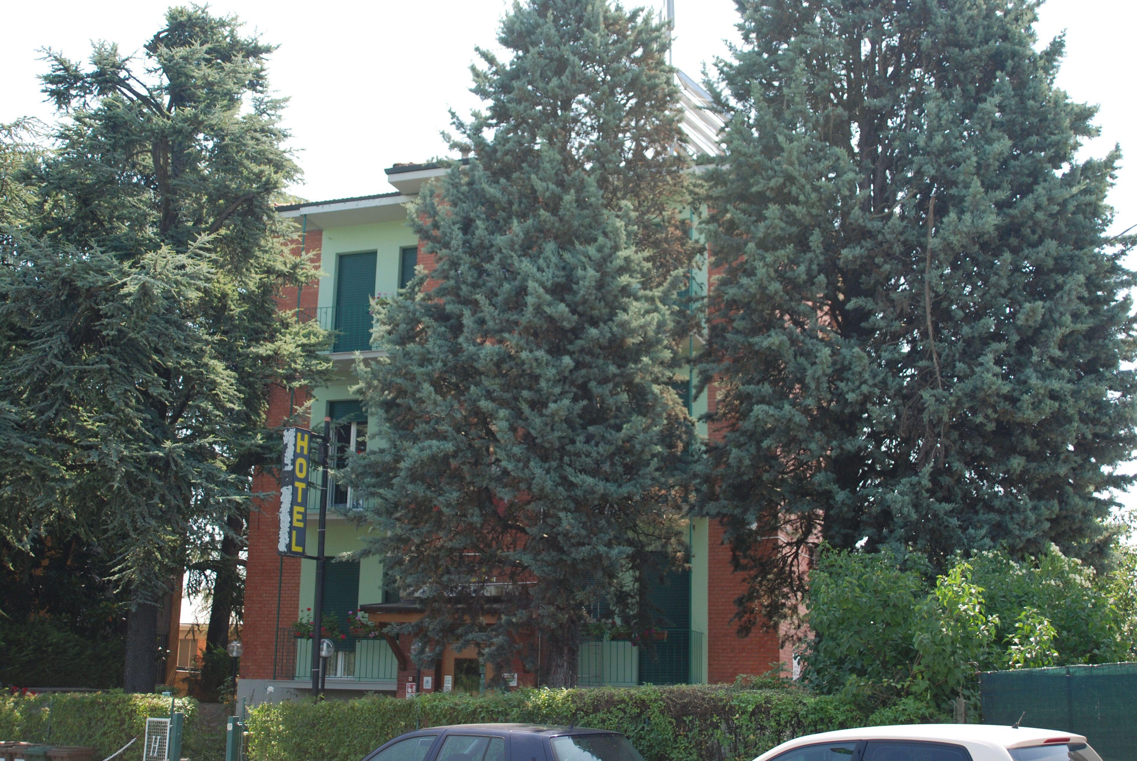 Hotel Tuscolano — Photos 3